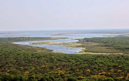 Los tres aprendizajes que dejó el debate sobre la Ley de Humedales
