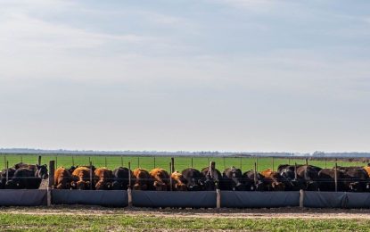 Tasas de interés, falta de agua y menores salarios, un combo letal para los feedlots