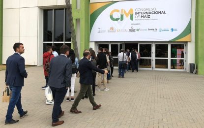 El maíz argentino debate su presente y futuro en un Congreso Internacional