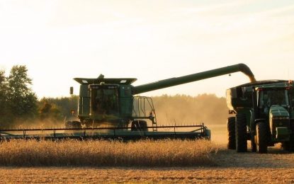 El precio de la soja suma factores bajistas, pero no pierde de vista el horizonte de los U$S 500