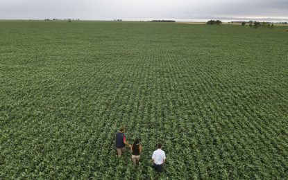 Otro año Niña: una guía para lograr un piso de rendimiento en soja y maíz