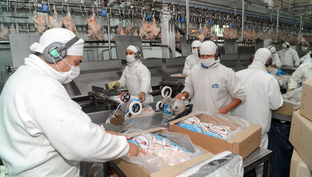 El pollo argentino desplega sus alas exportadoras
