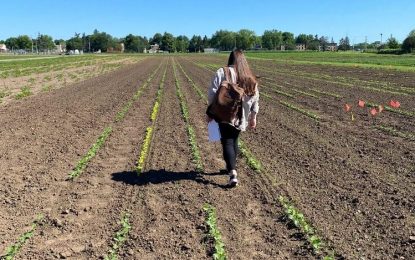 De Argentina a Minnesota: cómo es el programa que busca jóvenes para trabajar en campos de EE.UU.