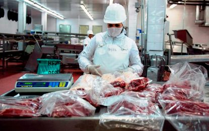Carne: pese a la caída de precios internacionales, las exportaciones aún muestran números favorables