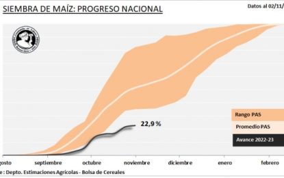 Zona por zona: los datos del histórico retraso en la siembra de maíz