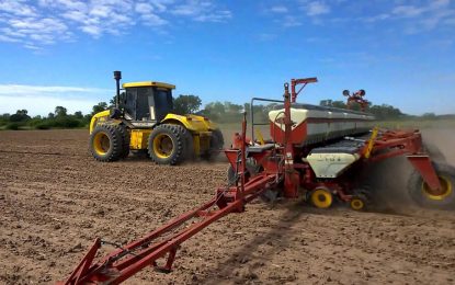 Subsidio a productores de soja y maíz: se aprobaron más de 3.000 solicitudes