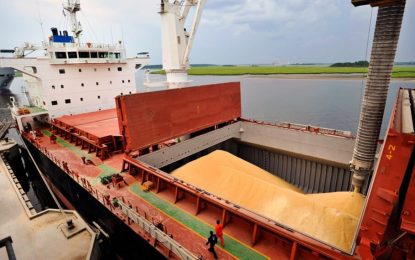 Ante el freno en el ingreso de divisas, el Gobierno amplió el saldo exportable de maíz