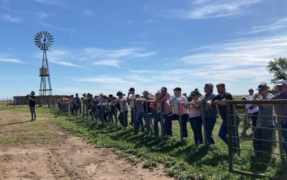 En Buenos Aires, ya hay 375 productores que cultivan 23.000 hectáreas con agroecología
