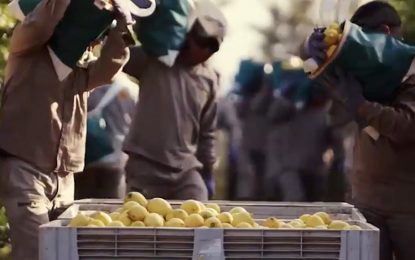 El campo rechazó el dólar diferencial para las economías regionales