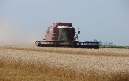 Sequía: el Gobierno evalúa una medida excepcional para las exportaciones de trigo