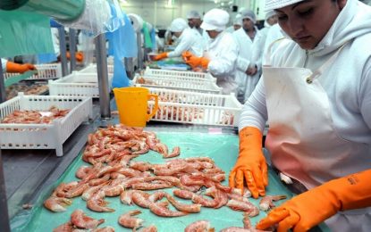 Con un langostino que perdió precio, las exportaciones pesqueras caen 6,7%