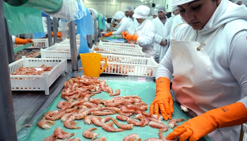 Con un langostino que perdió precio, las exportaciones pesqueras caen 6,7%