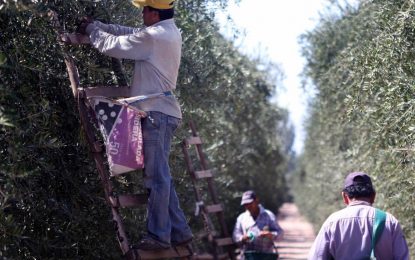 Las economías regionales pisan el acelerador y crecen 5,9% en exportaciones