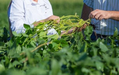 Un acuerdo global, con impacto en Argentina: Corteva anunció la compra de Stoller