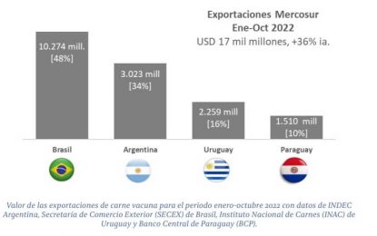 En las exportaciones de carne, al campeonato lo gana Brasil