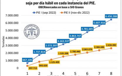 Por ahora, el “dólar soja 2” avanza al ritmo que pretendía el Gobierno