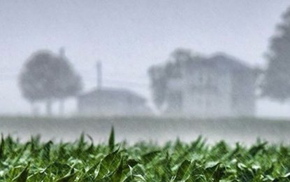 Las últimas lluvias de 2022 se concentrarán en parte de la zona núcleo y el NEA