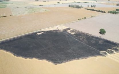 Le prendieron fuego un campo de trigo: “Salen a quemar comida, trabajo y dinero”
