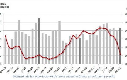La cadena bovina mira a China y al clima para diagramar las exportaciones 2023