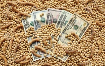 Divisas: el “dólar soja 2” trajo el regalo de Navidad que quería el Gobierno