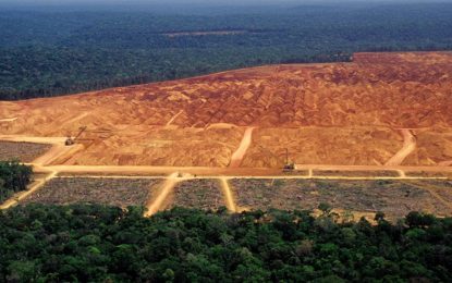 La agroindustria argentina, frente al desafío de la ley de deforestación en Europa