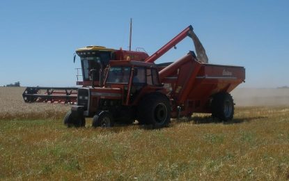 El trigo 2022/23 cerró un balance con todos sus números en rojo