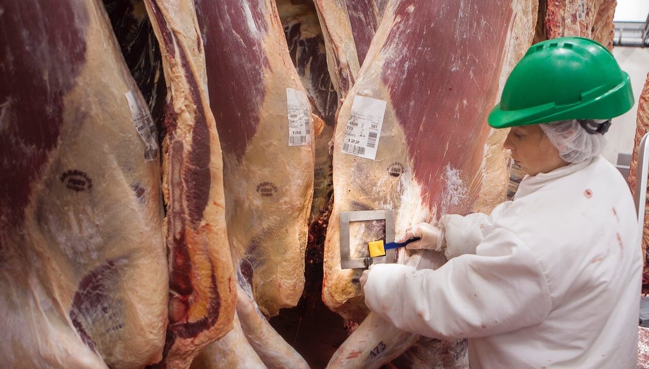 En 2022, la faena vacuna creció 3,9% y llegó a las 13,5 millones de cabezas