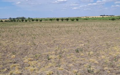 Buenos Aires extendió el estado de emergencia y desastre agropecuario hasta marzo