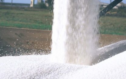 Los fertilizantes bajan y nutren mejores expectativas para la campaña 2023/24