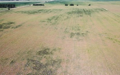 El insólito récord climático que dejó febrero en la zona núcleo