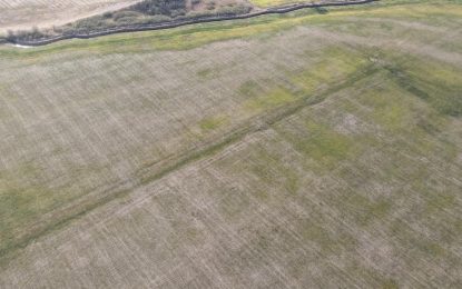 En Córdoba, declararán en emergencia agropecuaria a más de 800.000 hectáreas