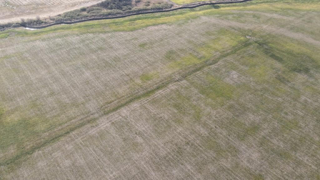 En Córdoba, declararán en emergencia agropecuaria a más de 800.000 hectáreas