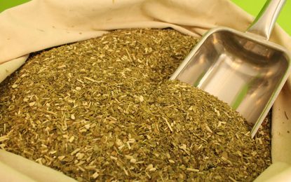 La yerba mate, otra economía regional que sufre un mal inicio en 2023