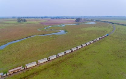 Un nuevo logro del tren de cargas: tras seis años, podría volver a cruzar a Brasil