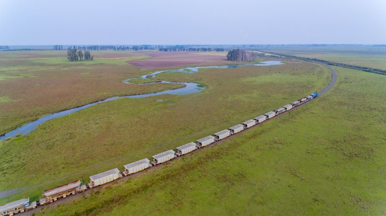 Un nuevo logro del tren de cargas: tras seis años, podría volver a cruzar a Brasil