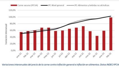 La paradoja de la carne: sube el precio, pese a la oferta abundante y la demanda estancada