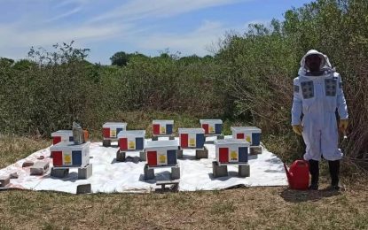 Una provincia creó un programa integral para potenciar la apicultura