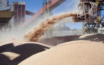 Actualizan el registro de exportadores de maíz, sorgo, soja y cebada a China