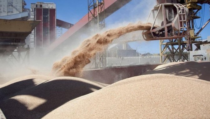 Actualizan el registro de exportadores de maíz, sorgo, soja y cebada a China