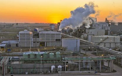 La molienda de soja, la industria con peores números en el inicio de 2023