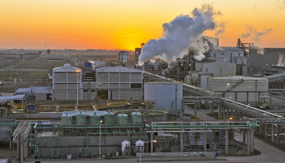 La molienda de soja, la industria con peores números en el inicio de 2023