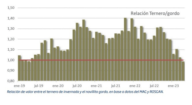 El negocio ganadero, entre el temor a perder capital y la esperanza en los feedlots