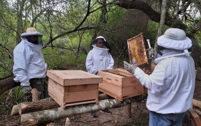 De cada 10 personas en el mundo, 5 tienen algún vínculo con la producción de alimentos