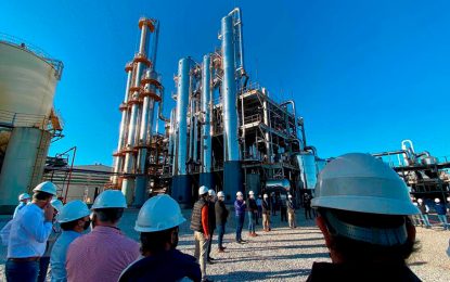 Pulseada en el biodiésel: pymes atacan al Gobierno y exportadores quieren volver al mercado interno