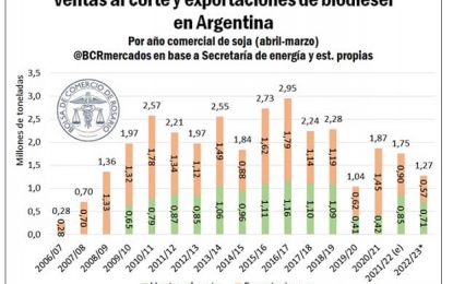 ¿Argentina pierde el mundial de la harina?: la industria sufre el efecto dominó de la falta de soja