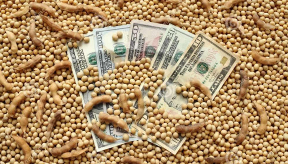La esperanza del Gobierno ante el derrumbe de las retenciones: el mercado comienza a reaccionar al “dólar soja”