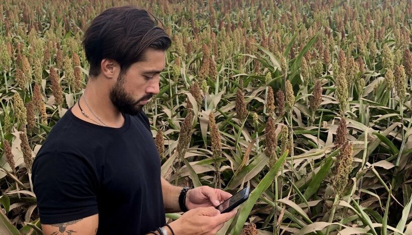 Una “joya” del agro: cómo es el modelo mixto que practica uno de los “agroinfluencers” más seguidos