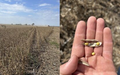 En Buenos Aires, se suman los municipios que reducen impuestos a productores afectados por sequía