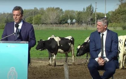 Fondos para aves, leche y trigo, y mejor acceso a créditos: los nuevos anuncios de Massa para el agro