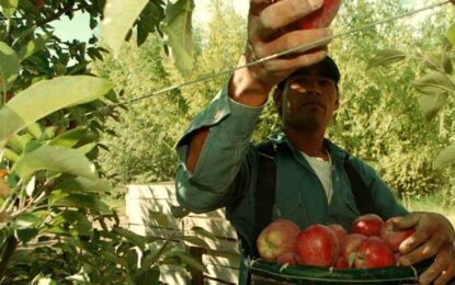 Anuncian importante mejora para trabajadores rurales temporales: podrán usar la Tarjeta Alimentar